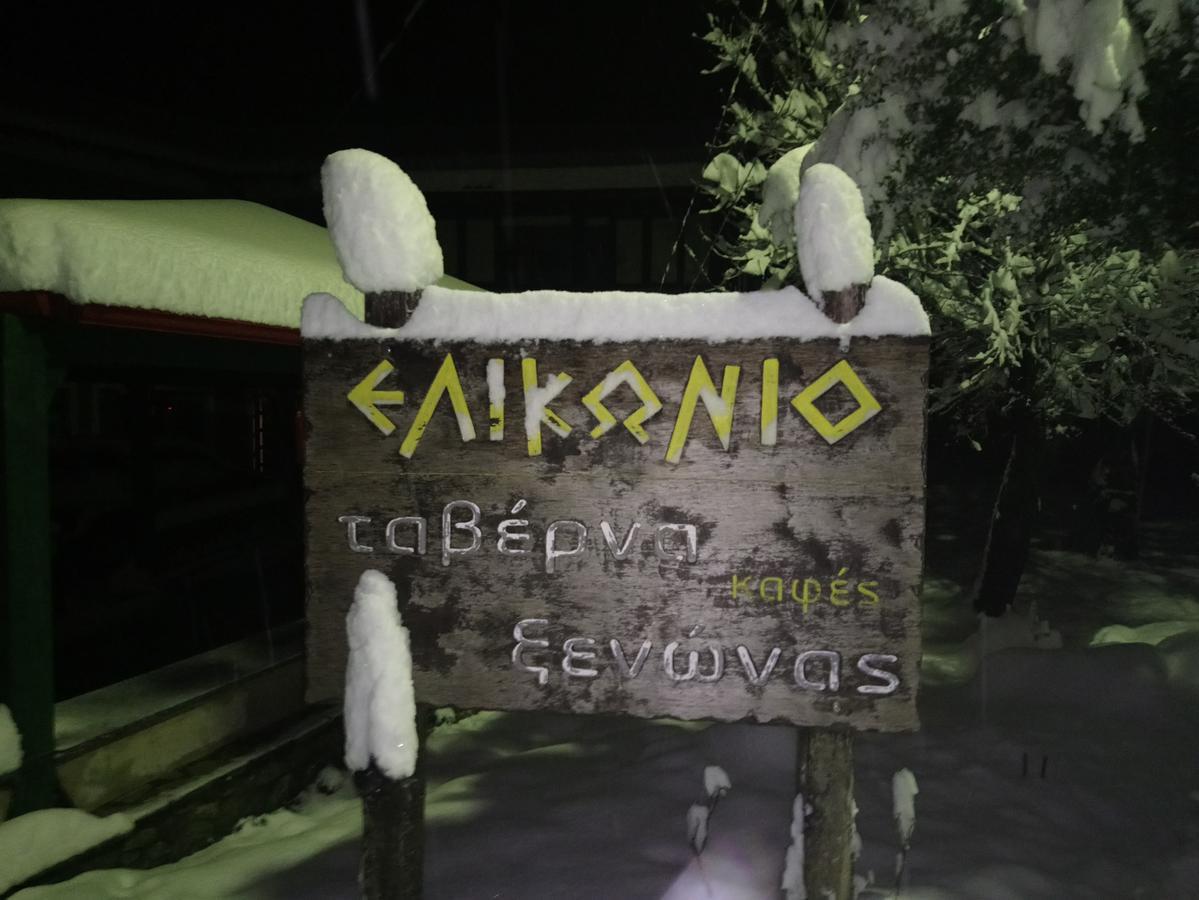 Elikonio Hotel Agia Anna  Exterior photo